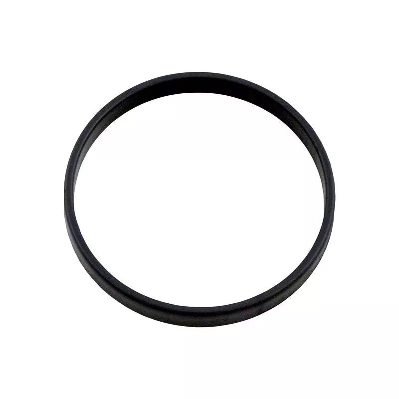 Zodiac – Anilla de contención W81600P - BricoandPool