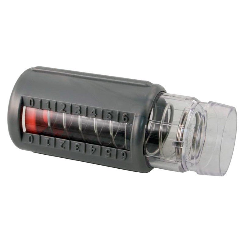 Zodiac – Medidor de caudal aspiración W70335P - BricoandPool