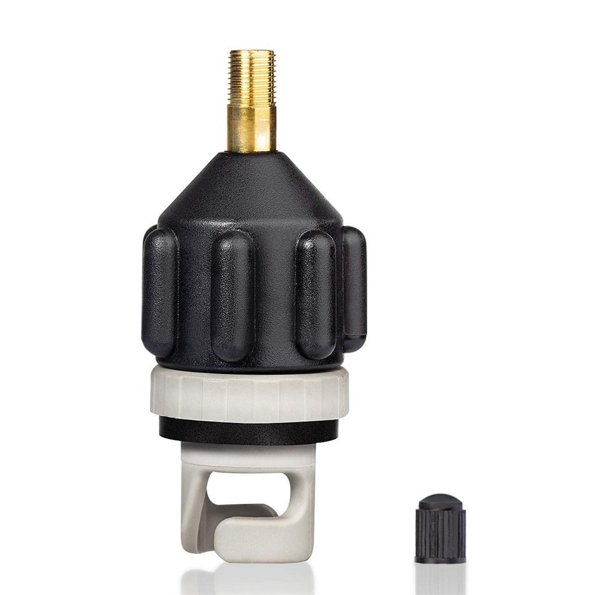 Zray Dual D1 10 - BricoandPool