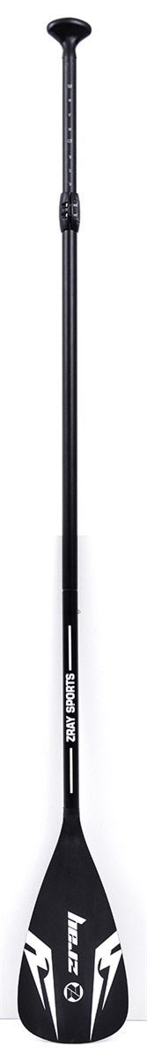 Zray Dual D2 10'8 - BricoandPool